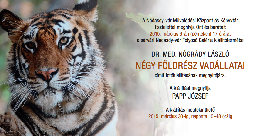 dr-nogrady-janos-tigris